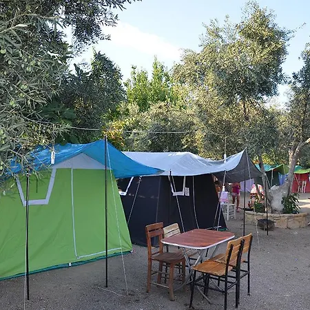 Nil Kamp * Arikli